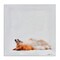 Stupell Industries Resting Daydreamer Corgi Canvas, design by Mary Sparrow